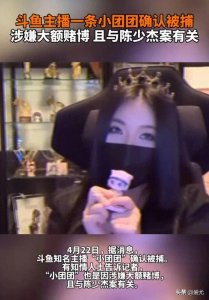 ​无数游戏者的记忆：一条小团团落幕