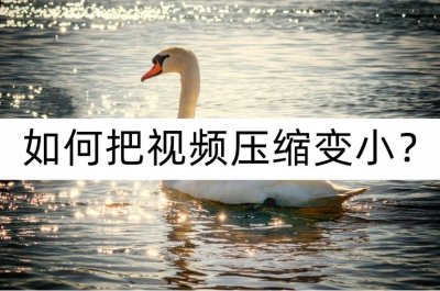 ​如何把视频压缩变小？尝试这几种压缩视频方法