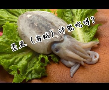 ​墨鱼汁能不能吃？