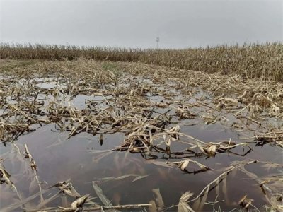 ​天灾人祸之涝灾