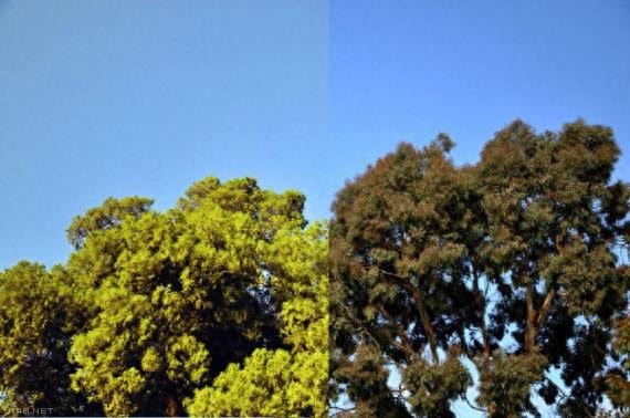 将北京和西雅图比较 谁更胜一筹