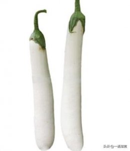 ​原来茄子还有白色的，涨知识了