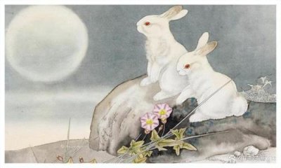 ​卯兔年和癸卯兔年是一个意思吗