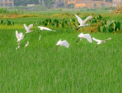 ​晚安小短句 晚安朋友圈正能量的唯美句子合集65句