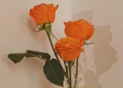 ​认真的句子90句