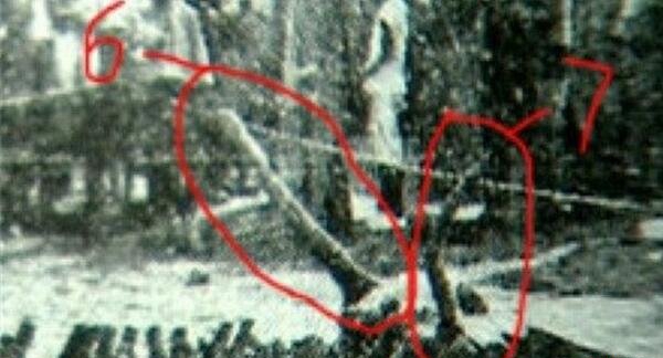 1934年辽宁营口坠龙事变是果然吗，龙骨凭证竟被日自己匪走