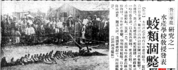 1934年辽宁营口坠龙事变是果然吗，龙骨凭证竟被日自己匪走