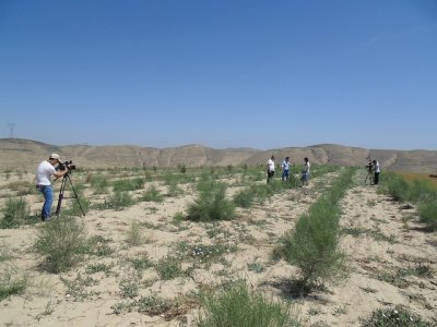 ​黄土高原的范围