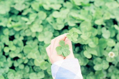 ​对女友说晚安的温馨语录(给女友说晚安的温馨话)