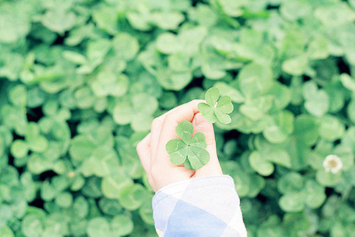 对女友说晚安的温馨语录(给女友说晚安的温馨话)