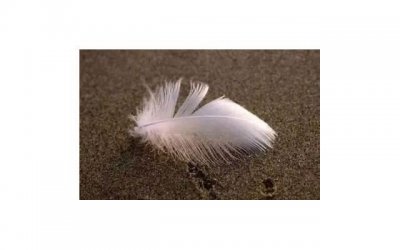 ​看透一个人的文案短句汇合86句