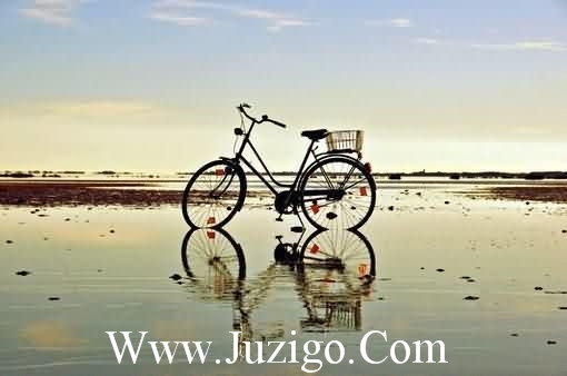 中秋节有特色的文案中秋节日特色(精选92句)