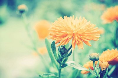 ​2026雨水节气朋友圈文字说说句子(精选71句)