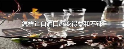 ​怎么让白酒不辣 白酒要怎么喝才不辣