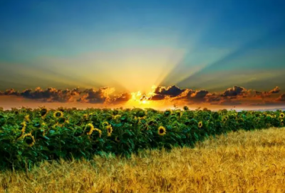 ​关于晚安正能量让人必赞的说说