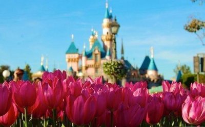 ​迷茫的说说79句