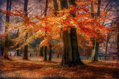 ​情侣性说说83句