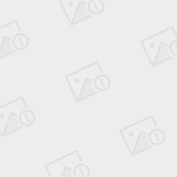 白檵木(白檵木花的寓意)