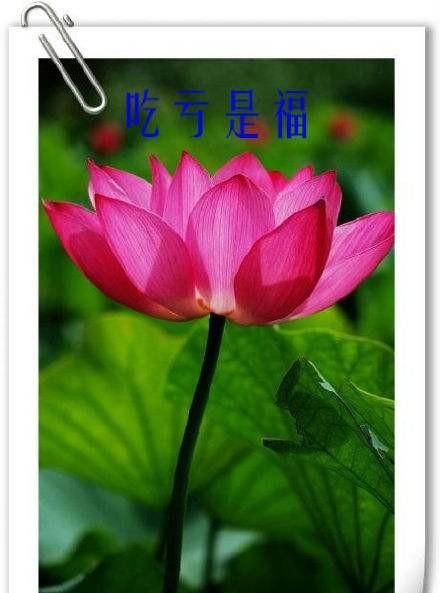 吃亏是福吗，吃亏是福是件好事吗？图7