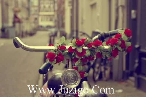 20岁生日简单明了说说精选(17岁生日感言简单明了)