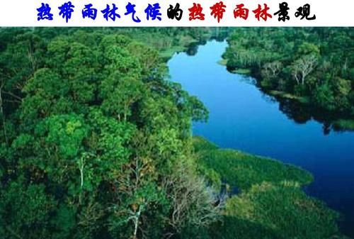 热带雨林气候的特征和分布