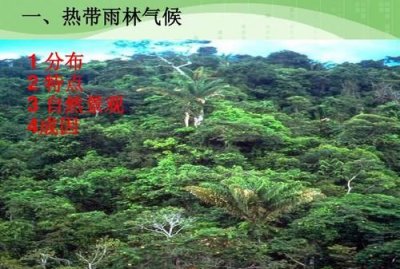 ​热带雨林气候特点,热带雨林气候房屋特点