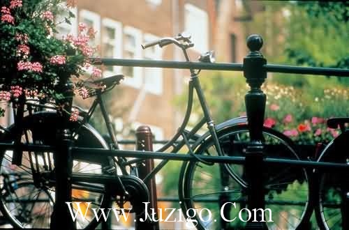 写给对你冷漠的人的说说(29句)