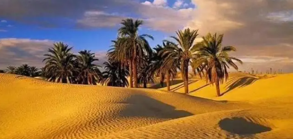 非洲被称为什么大陆,非洲大陆为什么被称为“高原大陆”图2