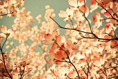 ​2026最后一天朋友圈文案虎年朋友圈文案(精选63句)