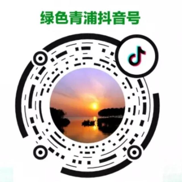 黄鳝的营养价值有多少（这个时节的黄鳝营养丰富）(7)