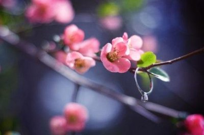 ​qq说说伤感诗句98句