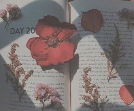 表白的爱情说说句子