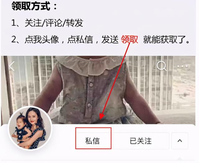 逻辑狗5-6岁思维训练课程 风靡全球的逻辑狗(16)