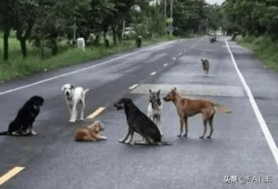 ​出门见三象，必定有灾祸，是真的吗？