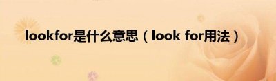 ​lookfor是什么意思（look（for用法）