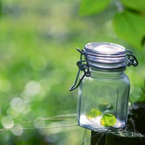 ​每日晨会分享 早安心语正能量一句话[20句]