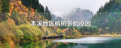 ​本溪地区枫树多的原因