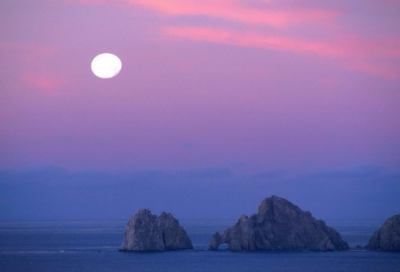 ​读书分享正能量句子(付出的句子经典语录)