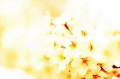 ​抖音配文案容易火共鸣句子(54句)