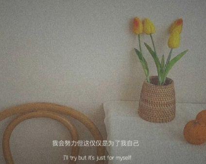 感恩生命中遇到的朋友的句子