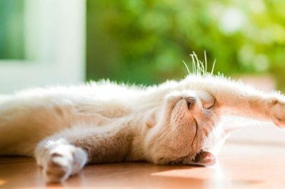 ​十一月你好的句子(精选111句)