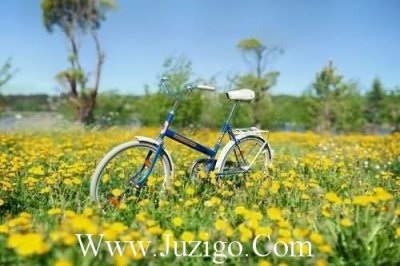 ​八月夏天文案八月文案(精选106句)