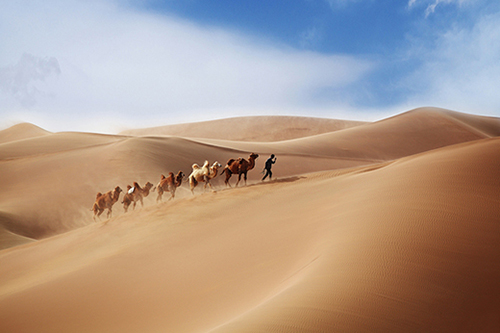 心里不舒服想发表一下 适合所有情绪的句子(69句)
