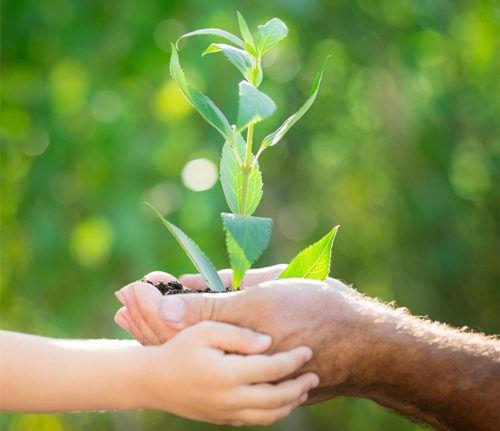 唯美而悲伤的伤心句子