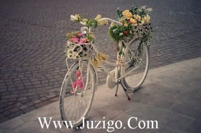 ​发朋友圈关于桃花的说说形容桃花的唯美短句(精选45句)