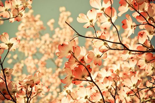 拟人句长一些34句