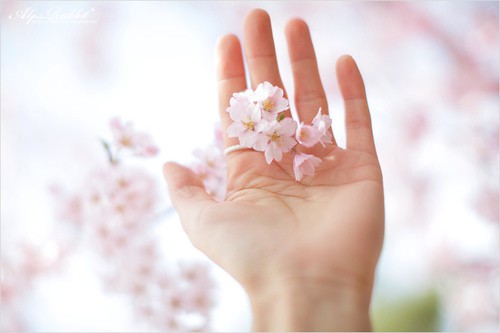 霸道总裁性签名80句