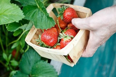 ​一肚子火很生气的句子39句