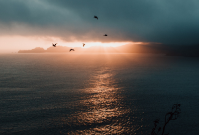 ​单田芳评书经典语录(单田芳全部评书)