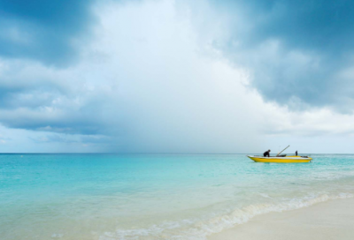 ​爱心公益口号经典用语大全(精选50句)